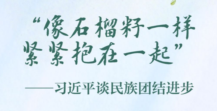 “像石榴籽一样紧紧抱在一起” ——习近平谈民族团结进步